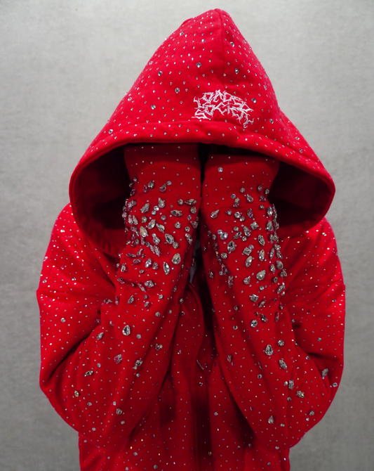 Sparkly Hoode Sweatshirt